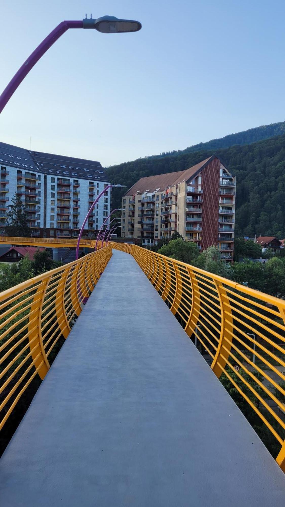 Belleview Family Apartment Sinaia Exterior photo